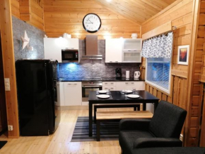 Hippu Apartment in Ruka